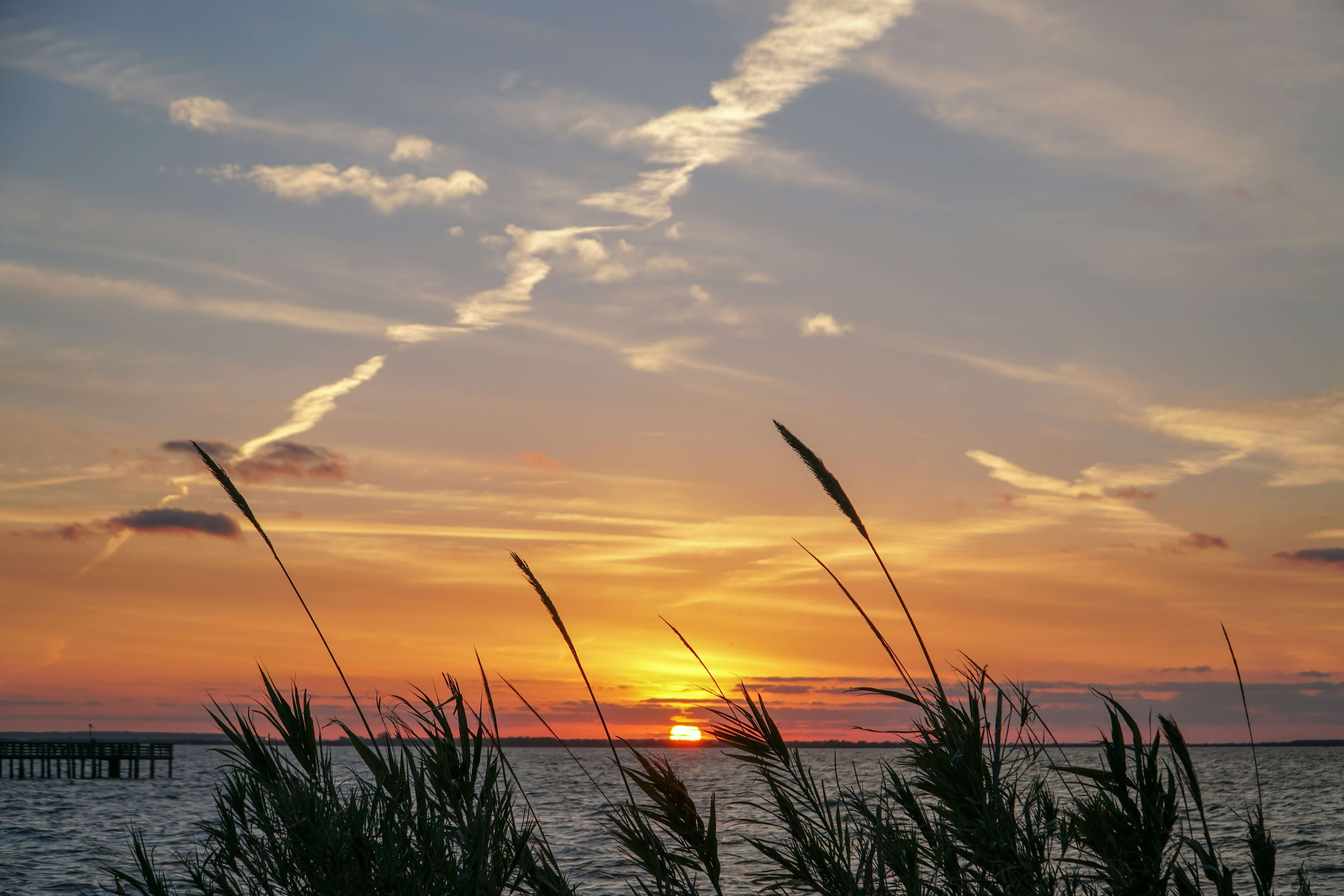 Coastal sunset with marsh grass silhouettes framing orange sky and setting sun over water