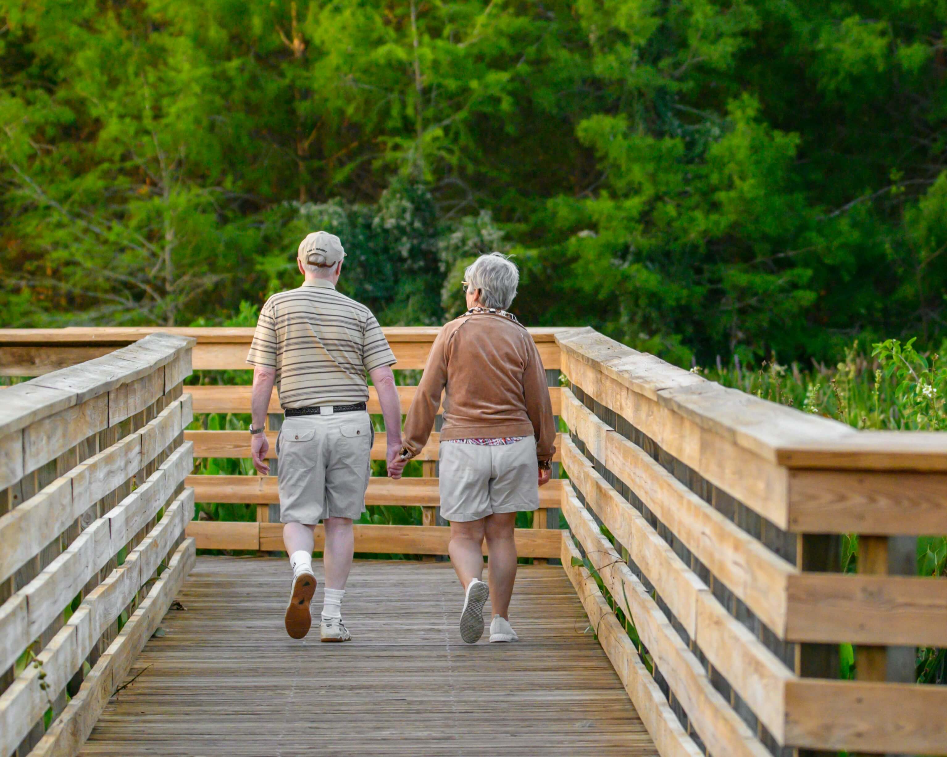 Senior couple walking hand in hand on wooden boardwalk through green forest preserve