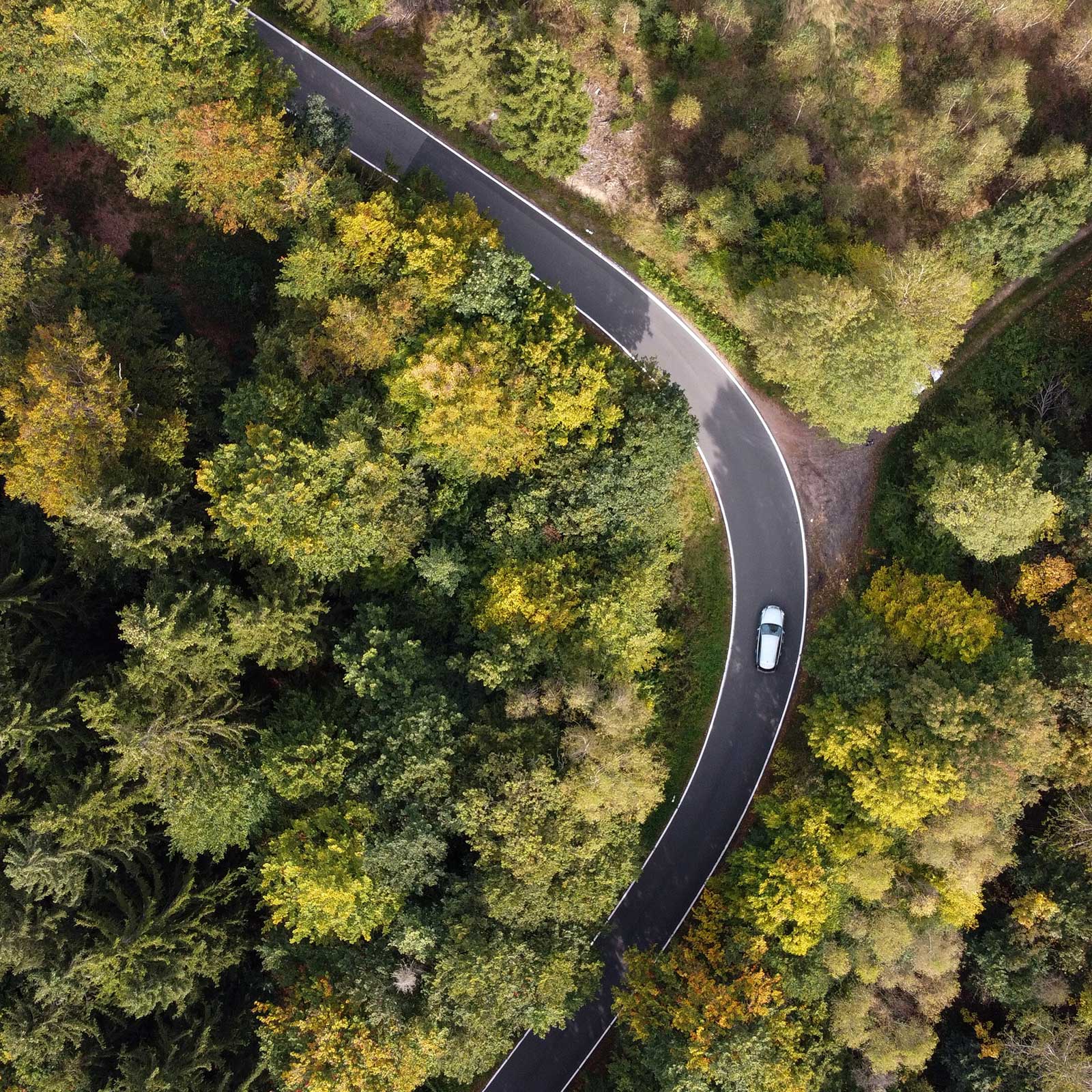 Overhead view of a white car driving down a winding road through a forest